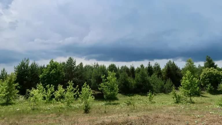 Ostrów Mazowiecka atrakcje - odkryj ukryte skarby i piękne miejsca